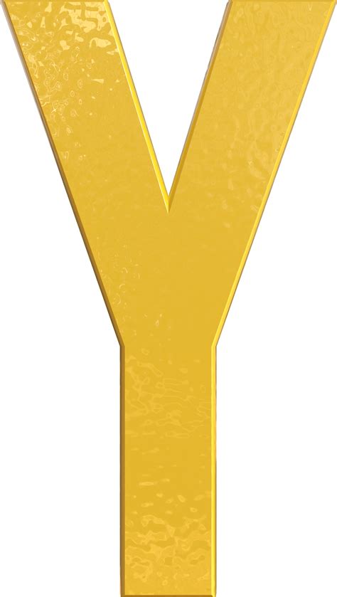 Y 